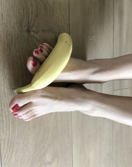 云之羽第二部免费播放