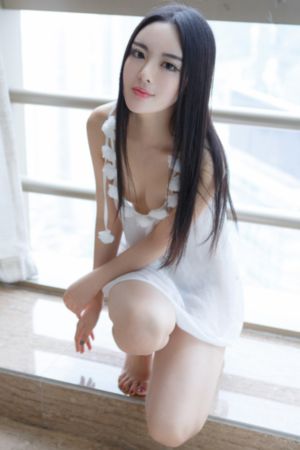 宠物情人