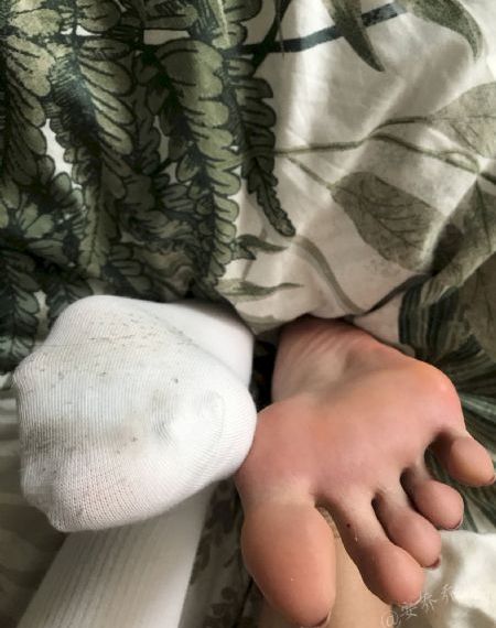 免费观看电视在线高清视频大全