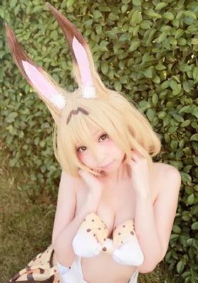 辣椒与泡菜