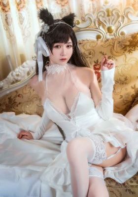 间谍过家家第一季免费观看